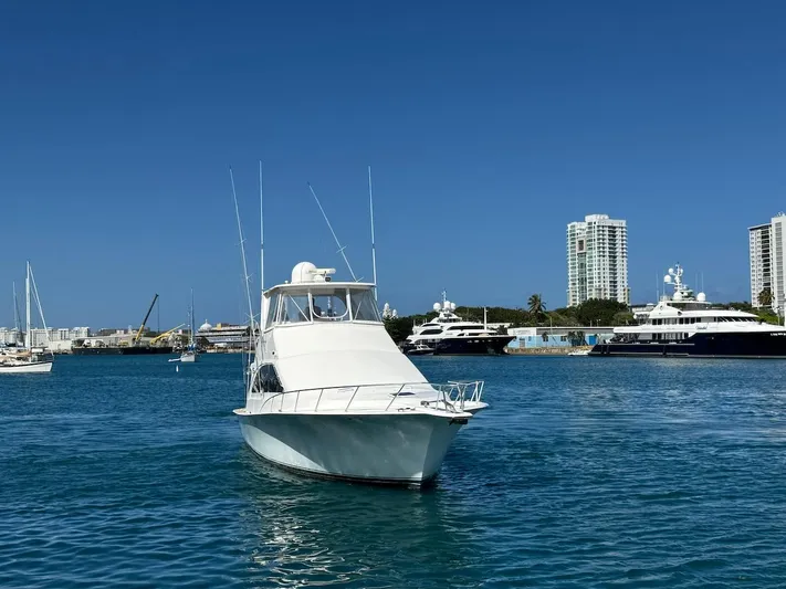 Nana Yacht Photos Pics Ocean Yachts 48 Convertible 2000 in marina, clear blue sky, city skyline background.