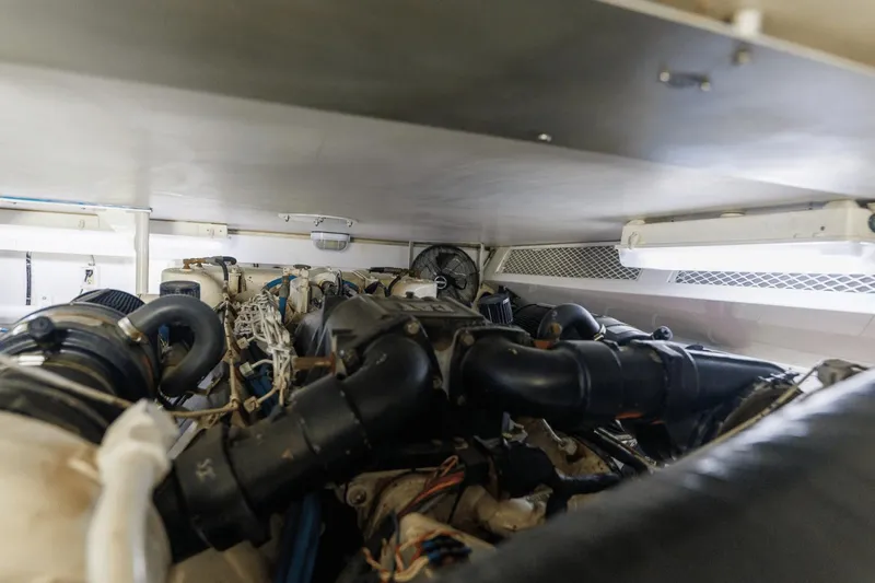 Double Down Yacht Photos Pics 