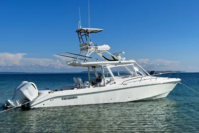 Everglades 350LX