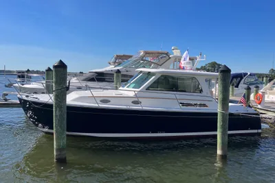 Back Cove 33