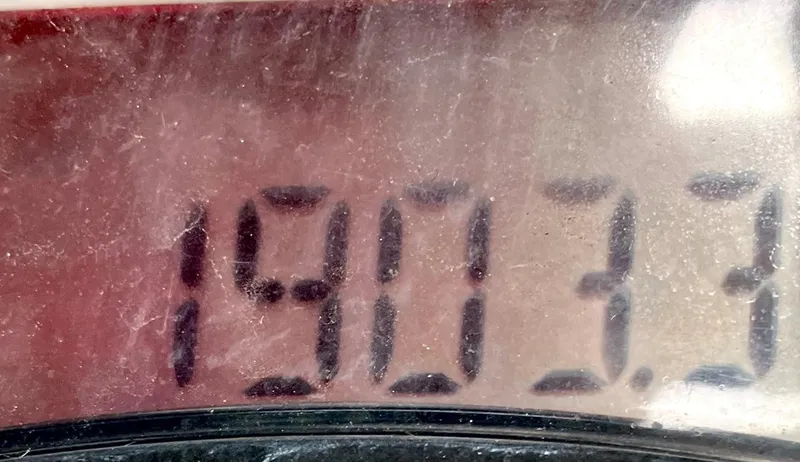 Vincero Yacht Photos Pics 