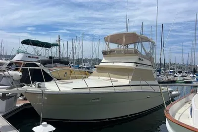 1981 Viking 35 Convertible