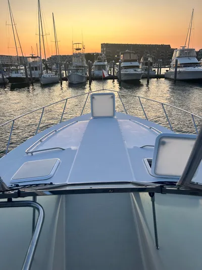  Yacht Photos Pics Bow