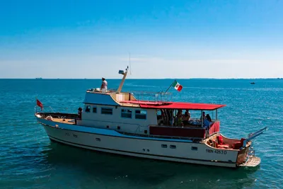 1971 Custom Trawler De Poli