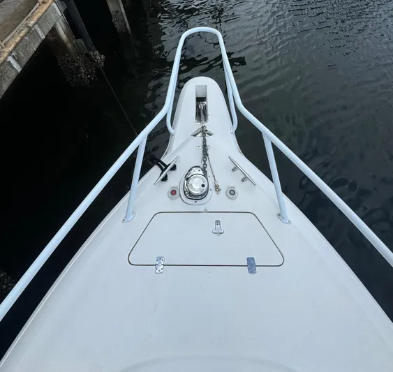 2021 Suzuki 350s Yacht Photos Pics 