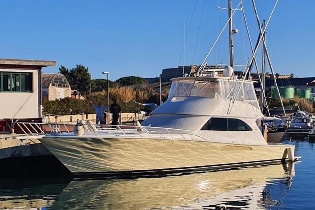 2008 Viking Boats 65 
