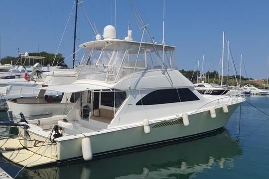 2008 Viking Boats 65 