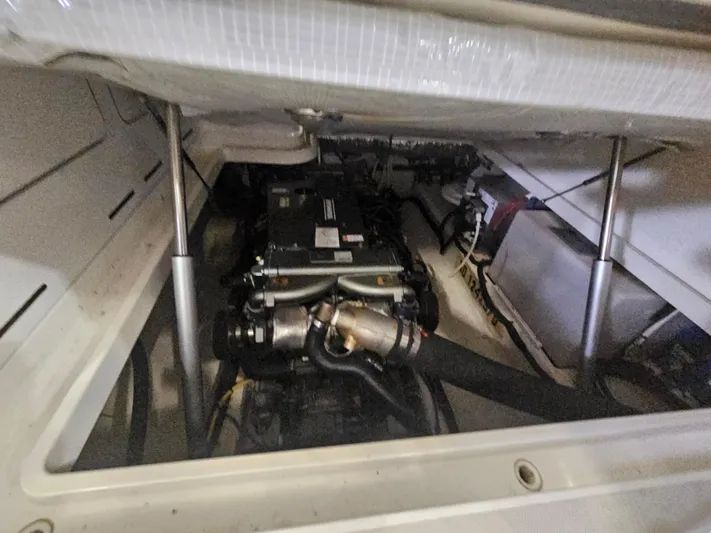 Ms Pingie Yacht Photos Pics 