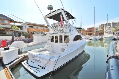 Luhrs 320 Convertible