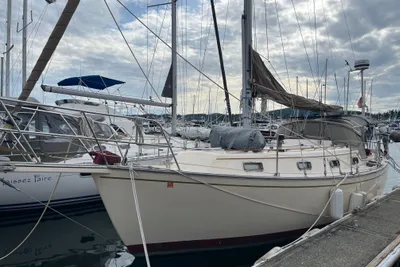 Island Packet 31