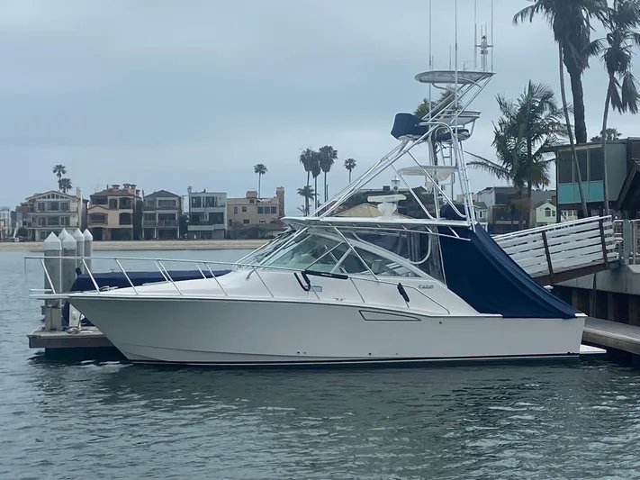 Dialed In Yacht Photos Pics 