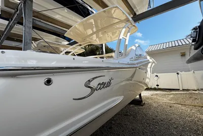 Scout 240 Dorado
