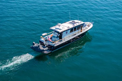 Targa 46