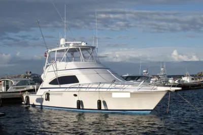 Bertram 510