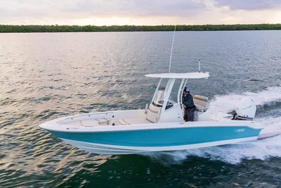 Boston Whaler 250 Dauntless