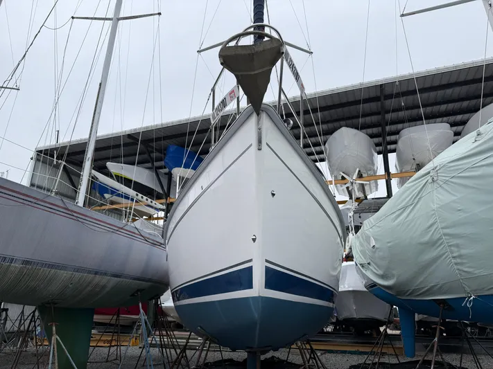 Bay Dream Yacht Photos Pics 