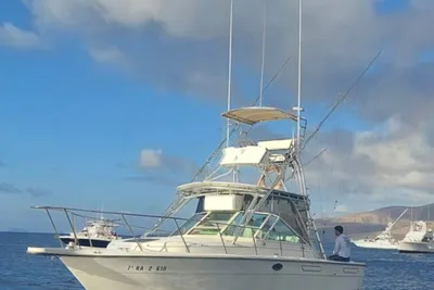 1989 Tiara Yachts 3100 Open