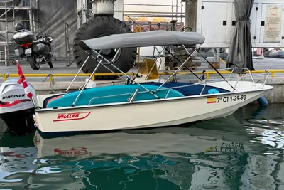 1987 Boston Whaler 17 Montauk