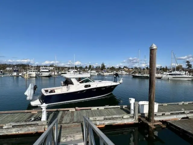 Blue Velvet Yacht Photos Pics 