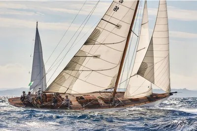 Bonin SLOOP