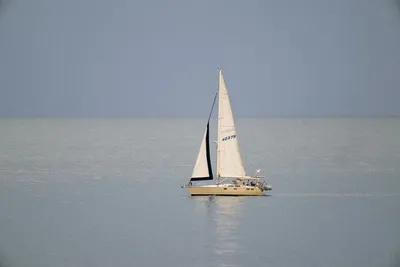 Hunter Legend 37.5