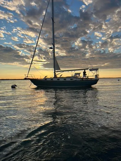 Heron Yacht Photos Pics 