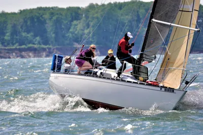 Abbott 33