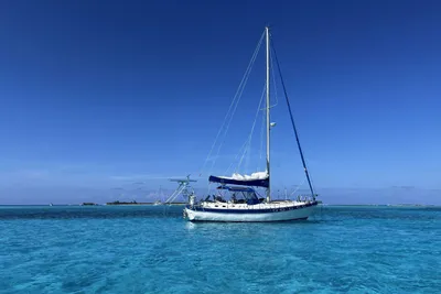 Catalina Classic 41