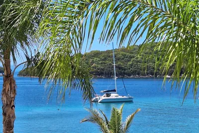 Lagoon 470