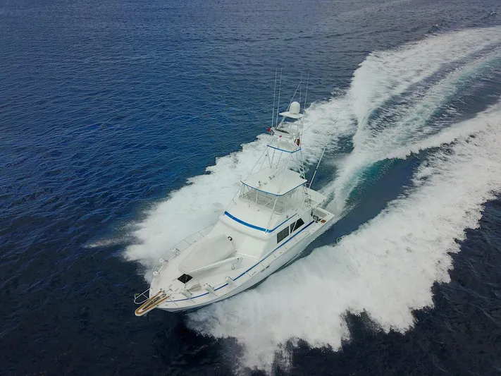 Maple Leaf Yacht Photos Pics 1981 Bertram Convertible yacht cruising on open water.