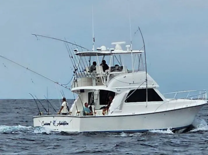 Current Addition Yacht Photos Pics 