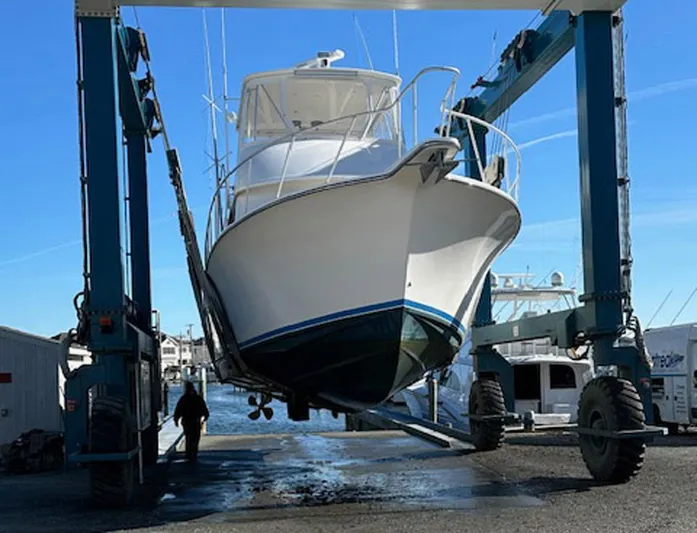 Current Addition Yacht Photos Pics 