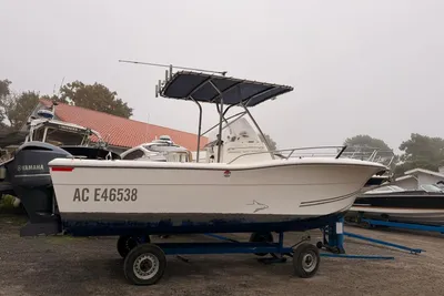 2011 Kelt WHITE SHARK 246