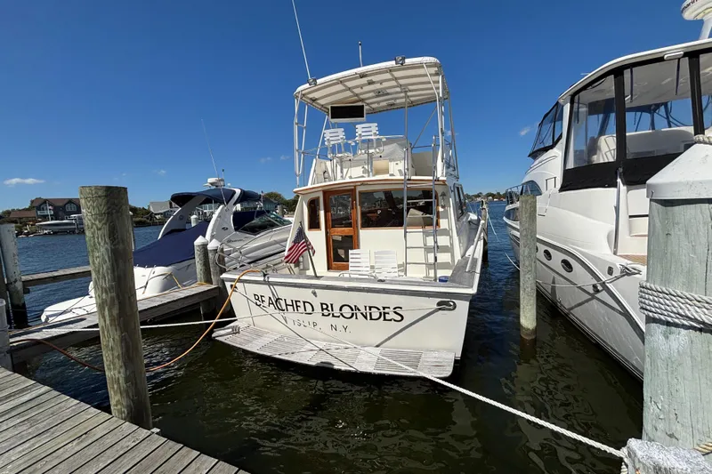  Yacht Photos Pics 1985 Egg Harbor 37 Tournament boat docked at marina, clear sky, "Beached Blondes" on stern.