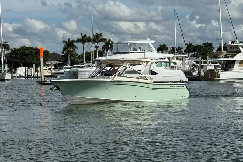  Yacht Photos Pics 2016 Grady-White Freedom 307 boat docked in a marina with palm trees.