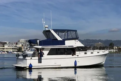 Ocean Alexander Classico 450