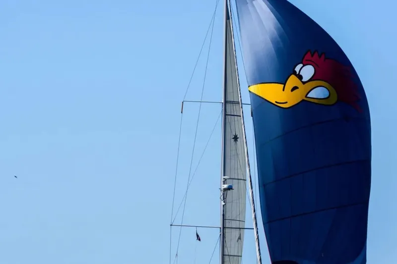  Yacht Photos Pics Sailboat Jeanneau 54 (2018) with cartoon rooster on blue sail.