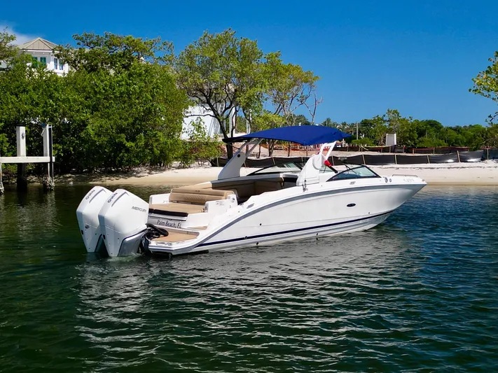  Yacht Photos Pics 2019 Sea Ray 290 SDX - Profile