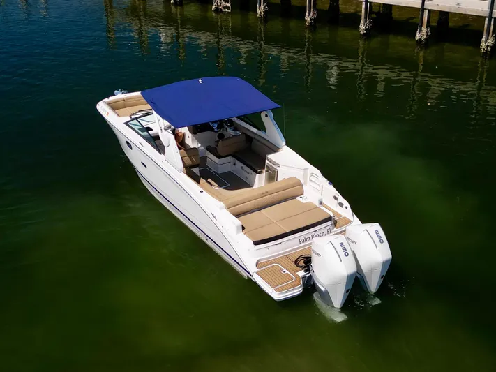  Yacht Photos Pics 2019 Sea Ray 290 SDX - Aft Seating