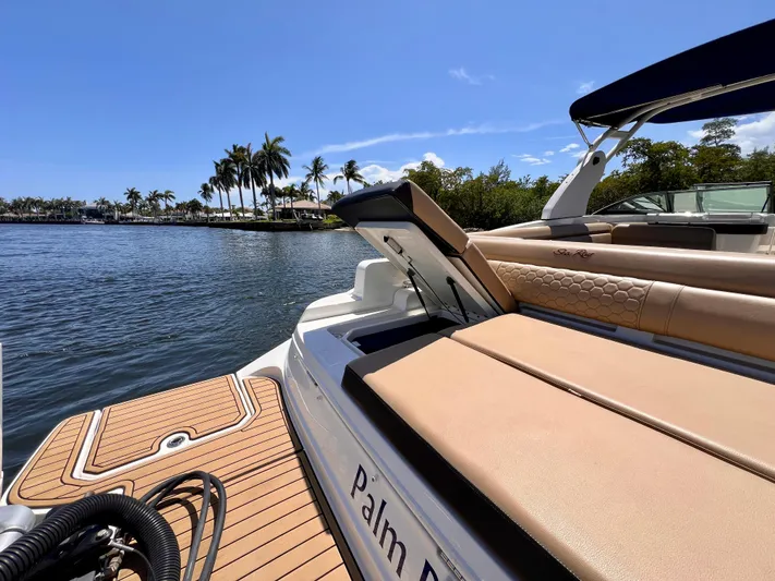  Yacht Photos Pics 2019 Sea Ray 290 SDX boat with sun deck