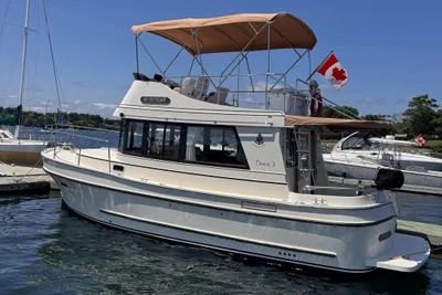 Camano 31