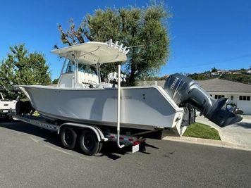 2007 Regulator 29 Fs