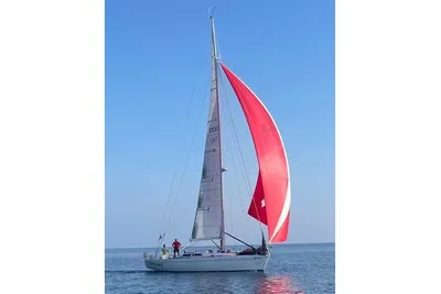 Tripp 47