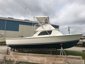 Bertram 31 Sportfisher