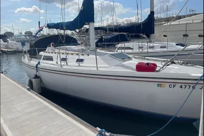 Catalina 36