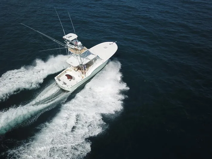 Chingadera Yacht Photos Pics 