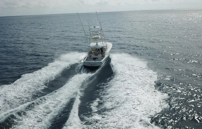 Chingadera Yacht Photos Pics 