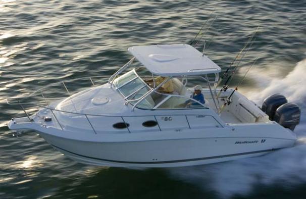 Wellcraft 270 Coastal O/B