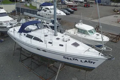 Catalina 387