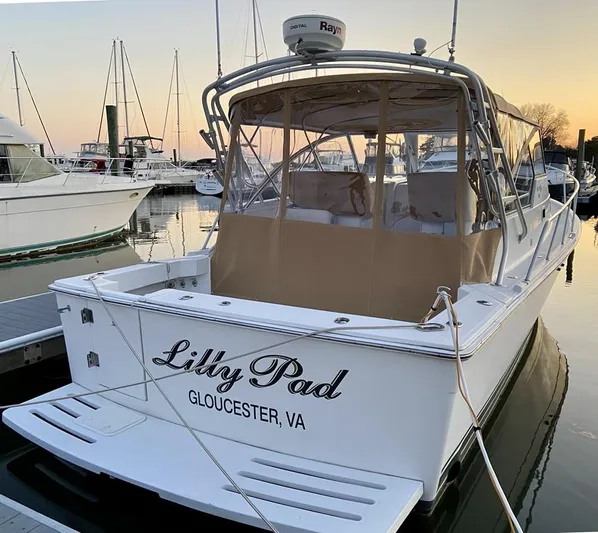 Lilly Pad Yacht Photos Pics 